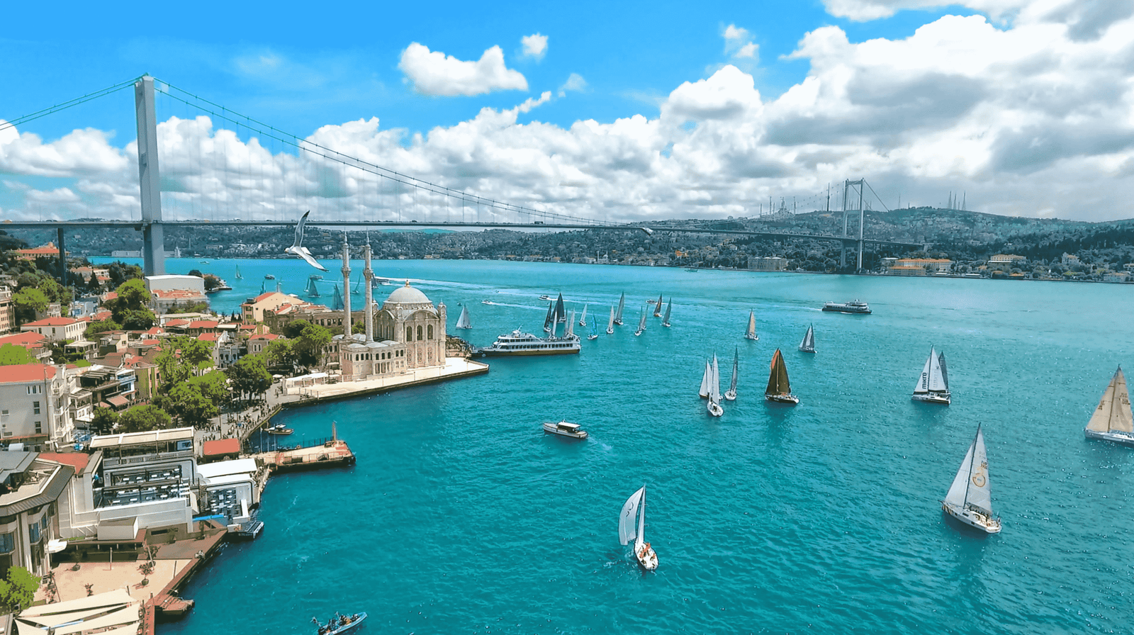 adobestock 249936319 min min scaled &bull; cool travel istanbul &bull; https://istanbulcitytours.us