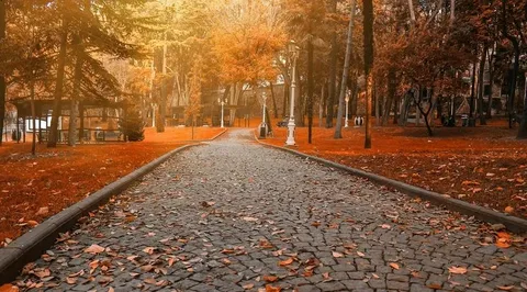 fall istanbul &bull; cool travel istanbul &bull; https://istanbulcitytours.us